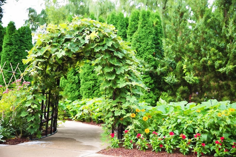 Garden Arbors